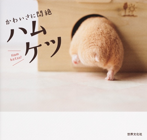 ハムケツ かわいさに悶絶