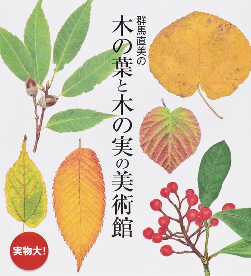 群馬直美の木の葉と木の実の美術館