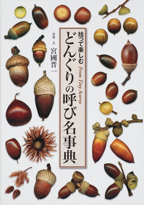 どんぐりの呼び名事典 拾って楽しむ From Tiny Acorns