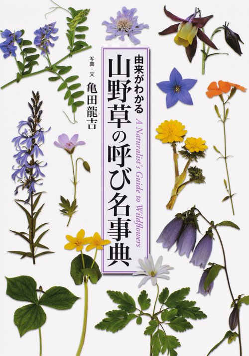 山野草の呼び名事典 由来がわかる