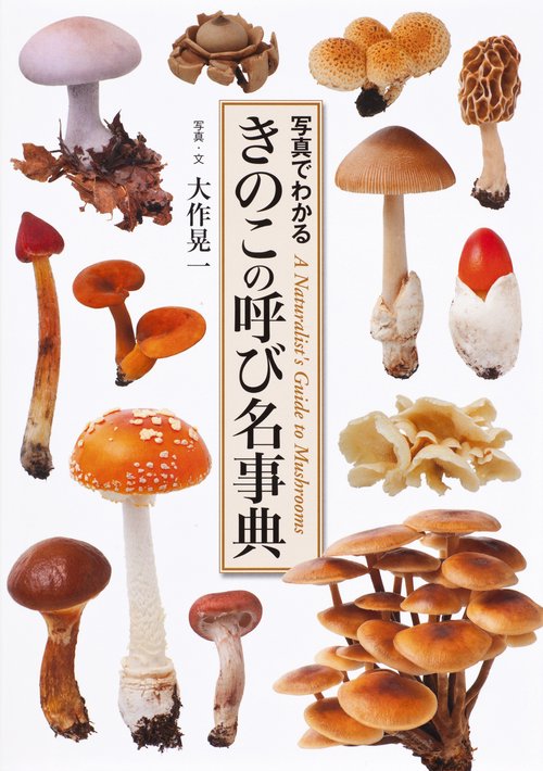 きのこの呼び名事典 写真でわかる