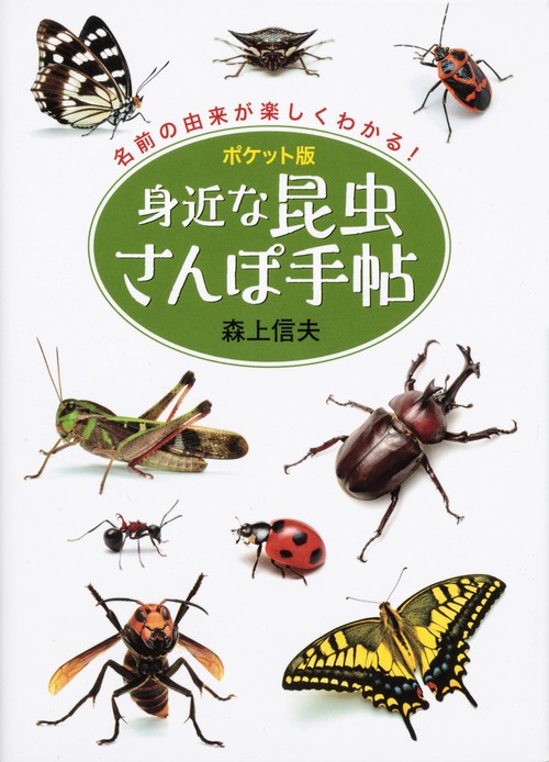 身近な昆虫さんぽ手帖 ポケット版 名前の由来が楽しくわかる!