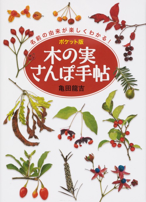 木の実さんぽ手帖 名前の由来が楽しくわかる! ポケット版