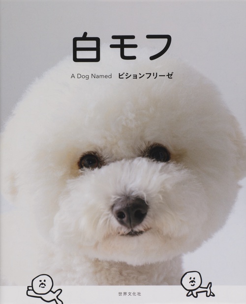 白モフ A Dog Namedビションフリーゼ