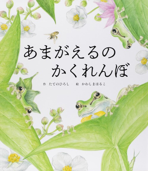 あまがえるのかくれんぼ