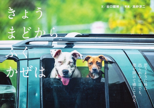 きょう　まどから　ふく　かぜは
