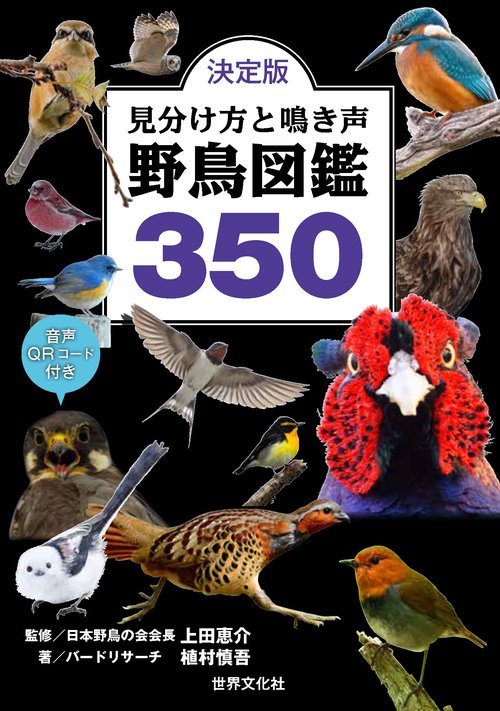 決定版　見分け方と鳴き声　野鳥図鑑３５０