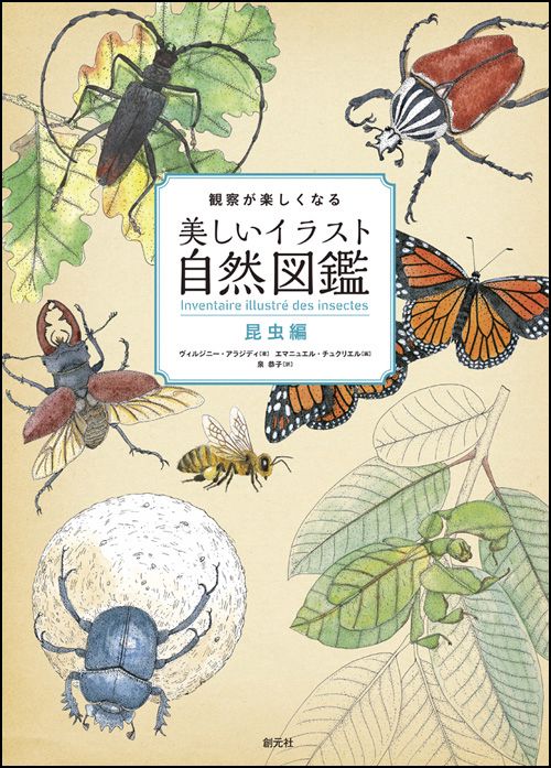 観察が楽しくなる美しいイラスト自然図鑑 昆虫編