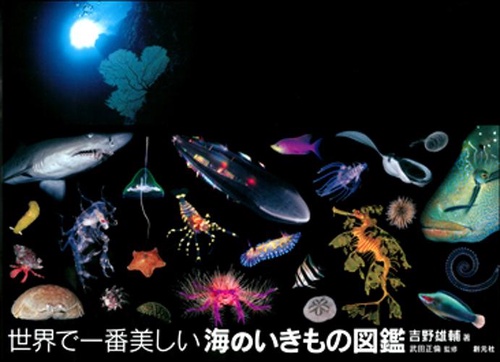 世界で一番美しい海のいきもの図鑑