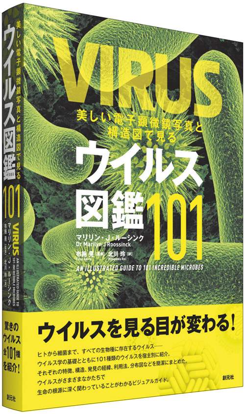美しい電子顕微鏡写真と構造図で見るウイルス図鑑101