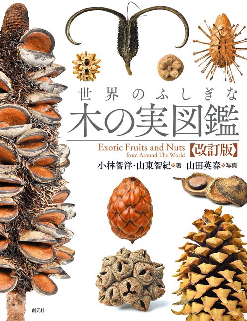 世界のふしぎな木の実図鑑【改訂版】