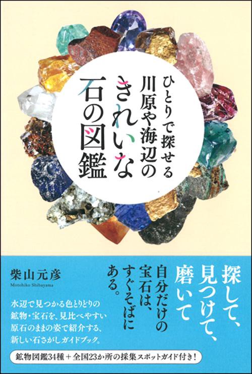 ひとりで探せる川原や海辺のきれいな石の図鑑