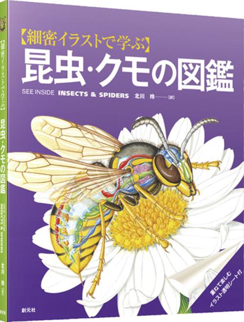 〈細密イラストで学ぶ〉昆虫・クモの図鑑