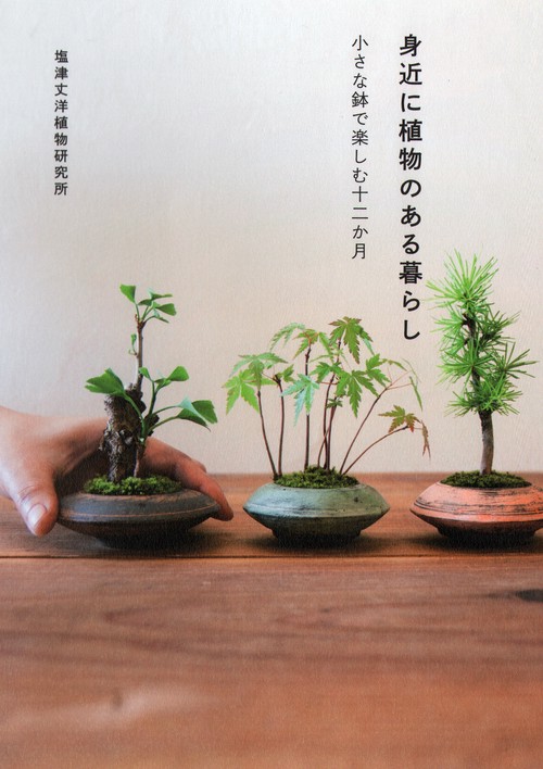 身近に植物のある暮らし 小さな鉢で楽しむ十二か月