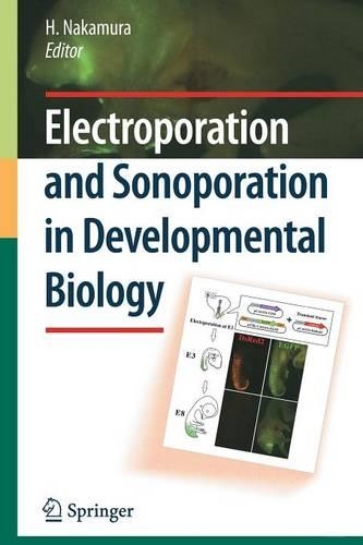 Electroporation and