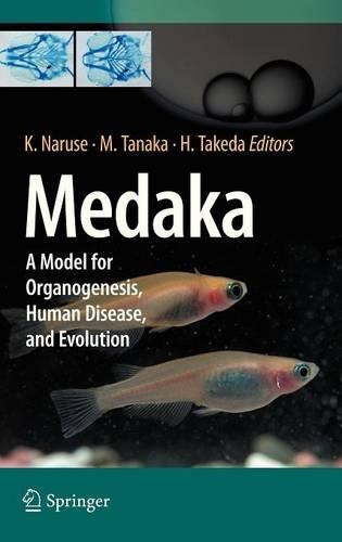 Medaka A Model for Organogenesis,Human Disease,and Evolution