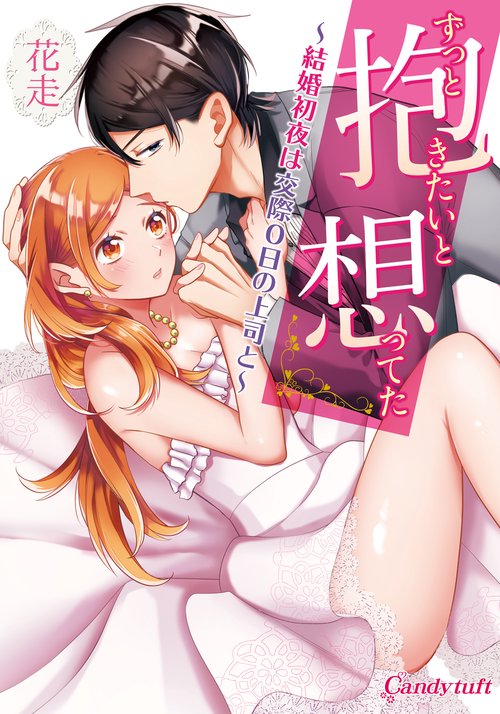 ずっと抱きたいと想ってた