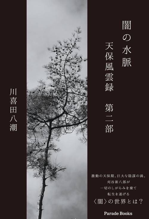 闇の水脈　天保風雲録　第二部