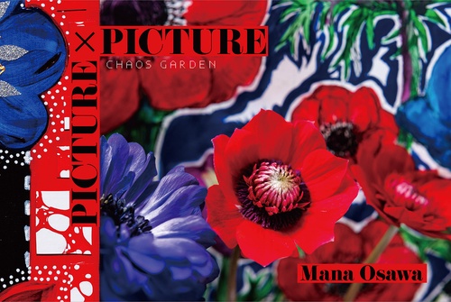 PICTURE×PICTURE