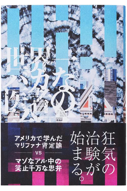 世界一バカな医者の論文