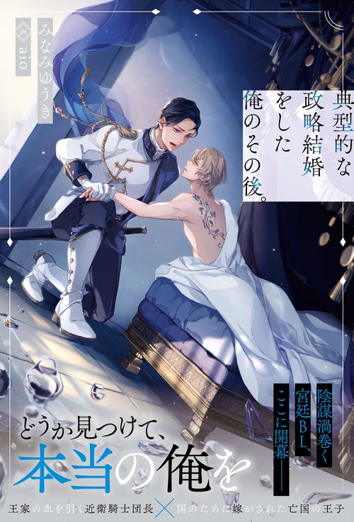 典型的な政略結婚をした俺のその後。 (アンダルシュノベルズ)