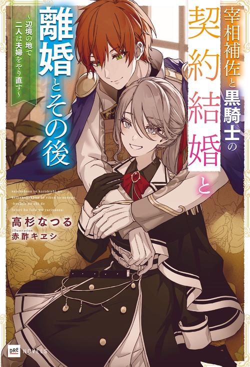 宰相補佐と黒騎士の契約結婚と離婚とその後 辺境の地で二人は夫婦をやり直す