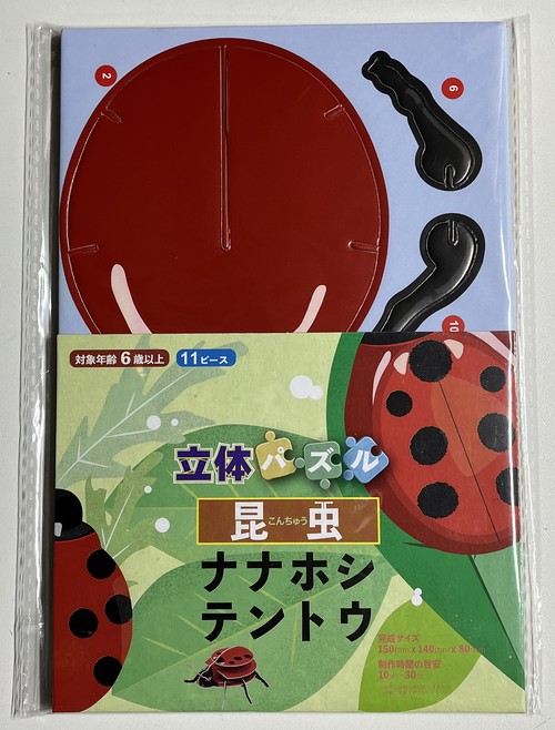 立体パズル　昆虫　ナナホシテントウ