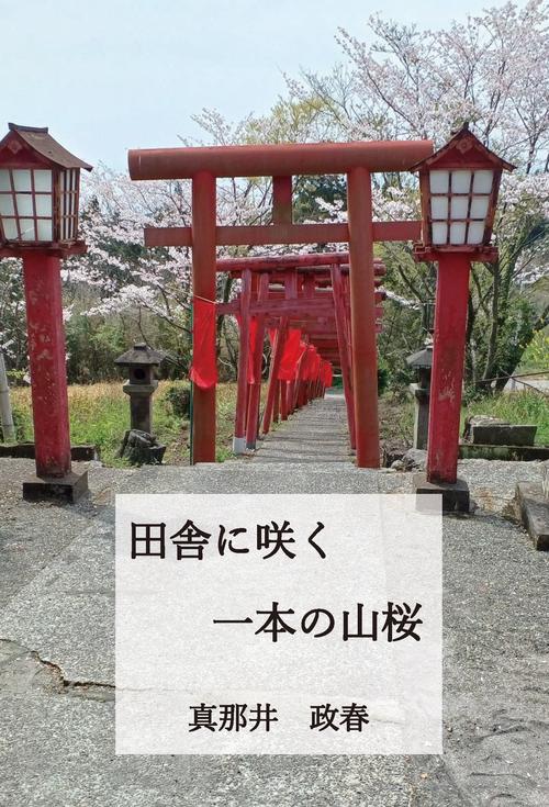 田舎に咲く一本の山桜