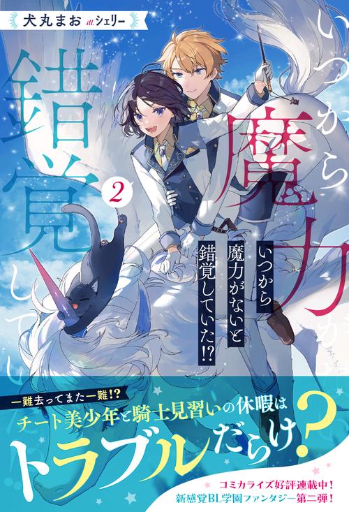 いつから魔力がないと錯覚していた!? 2