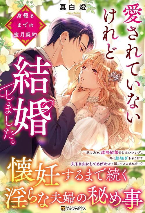 愛されていないけれど結婚しました。 (ノーチェブックス)