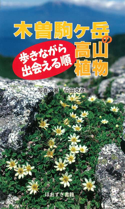 木曽駒ヶ岳の高山植物
