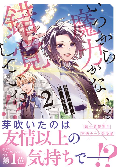 いつから魔力がないと錯覚していた!? 2
