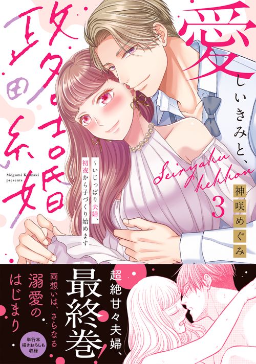 愛しいきみと、政略結婚～いじっぱり夫婦、初夜から子づくり始めます3