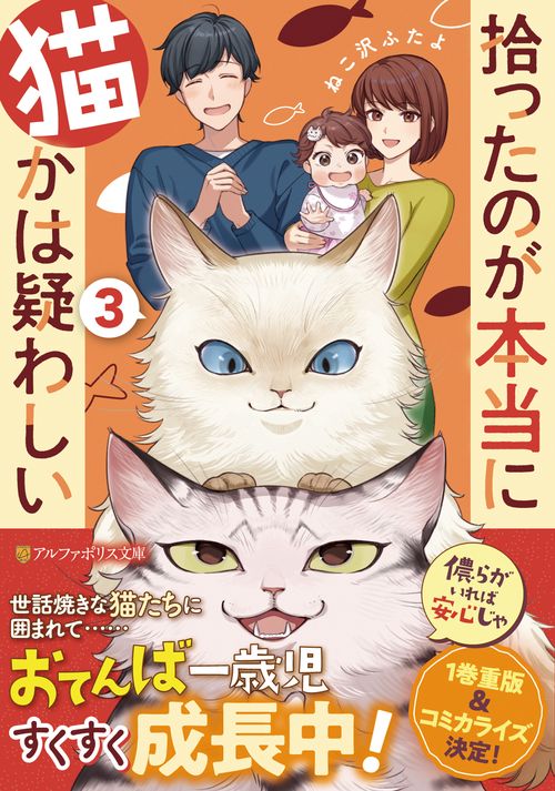 拾ったのが本当に猫かは疑わしい 3