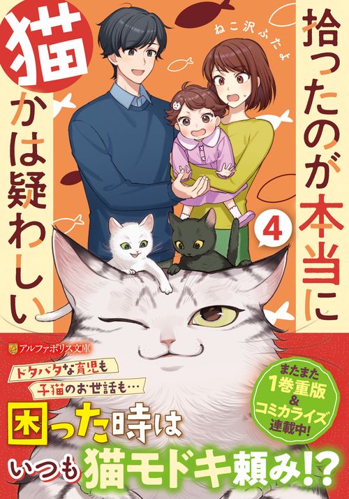 拾ったのが本当に猫かは疑わしい 4