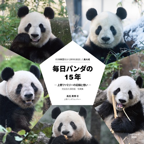 毎日パンダの15年