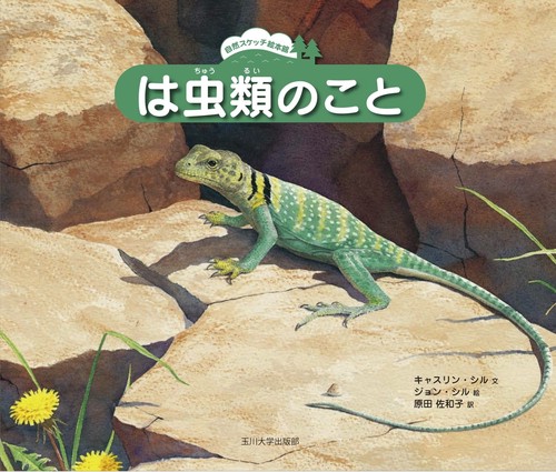 は虫類のこと