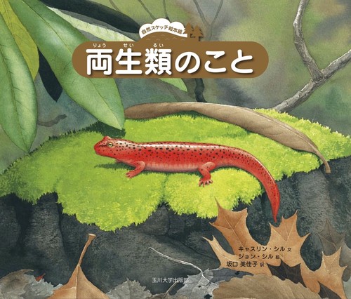 両生類のこと