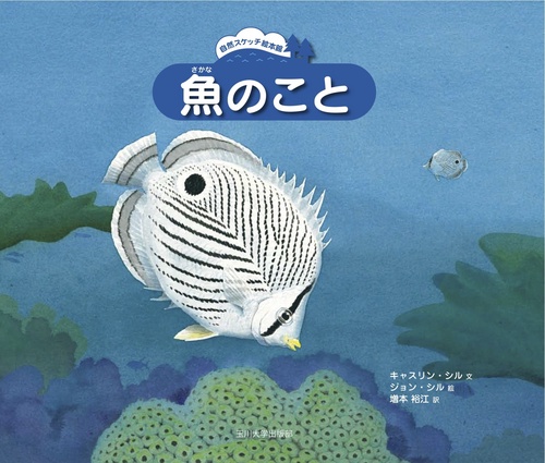 魚のこと