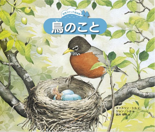 鳥のこと