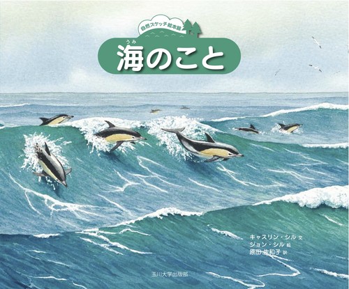海のこと