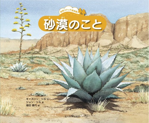 砂漠のこと
