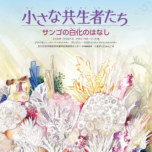サンゴの白化のはなし