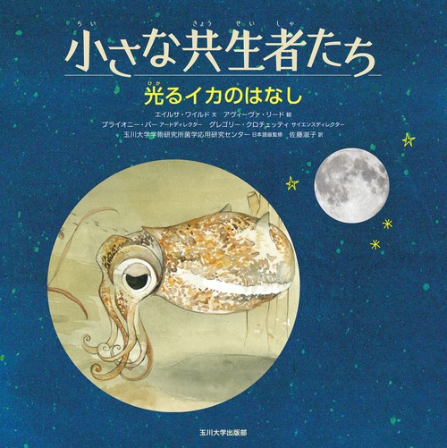光るイカのはなし