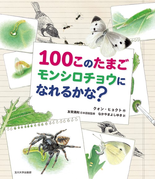 100このたまご　モンシロチョウになれるかな？
