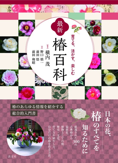 最新椿百科