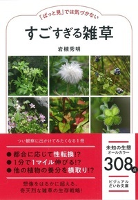 「ぱっと見」では気づかないすごすぎる雑草