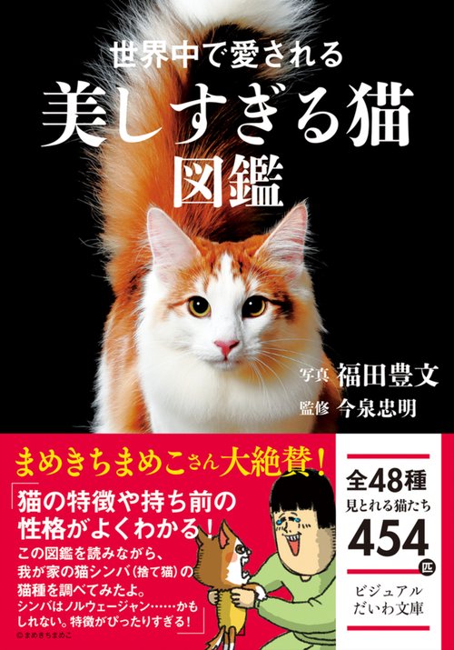 世界中で愛される美しすぎる猫図鑑