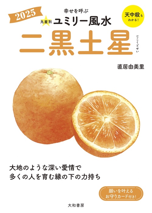 九星別ユミリー風水2025二黒土星