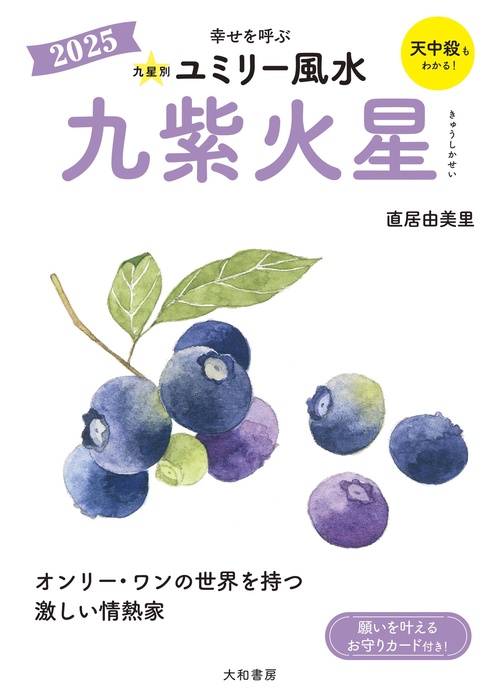 九星別ユミリー風水2025九紫火星